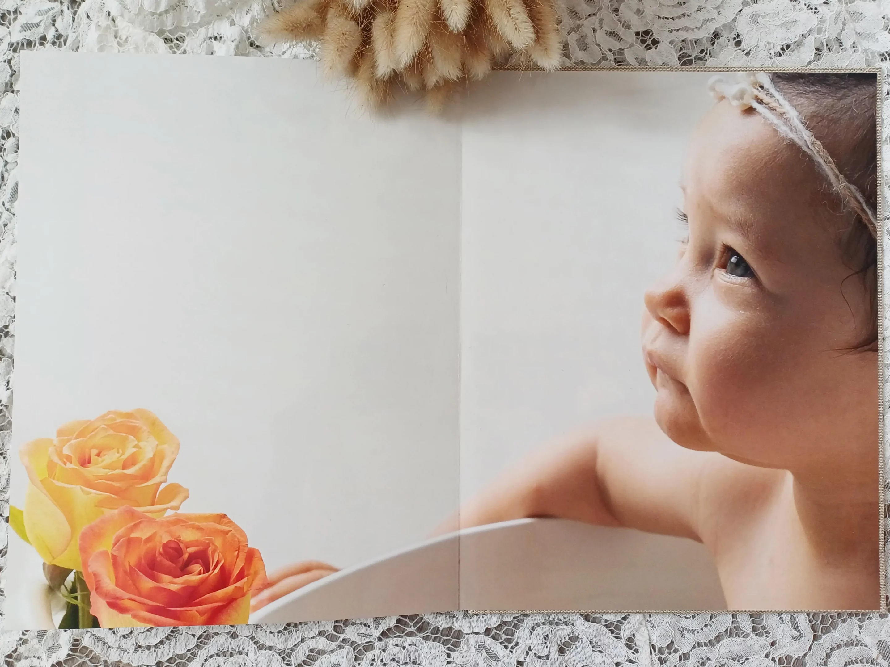 photo de mon livre photo ouvert à la dernière page