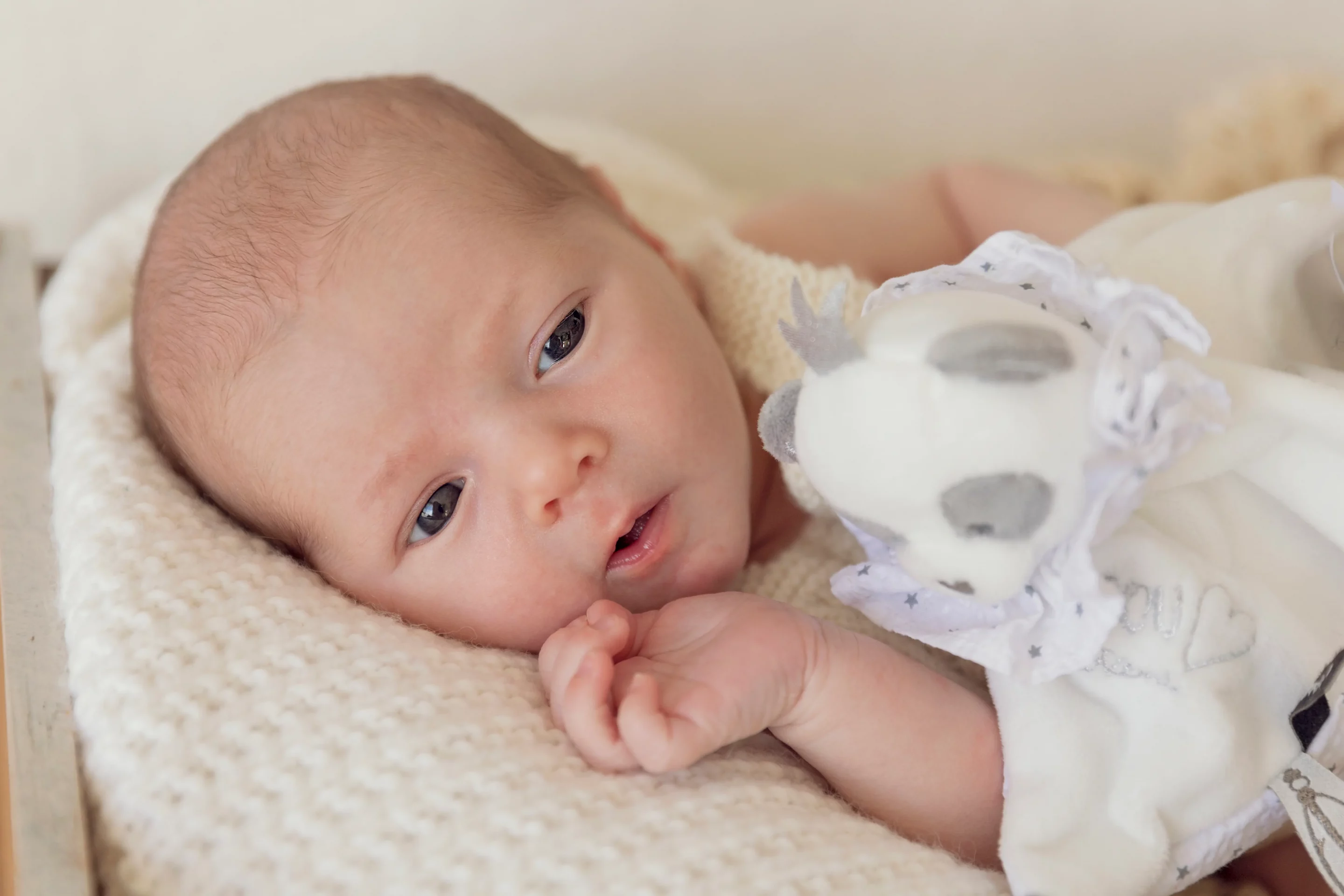 photo de naissance d'un bébé avec sa peluche