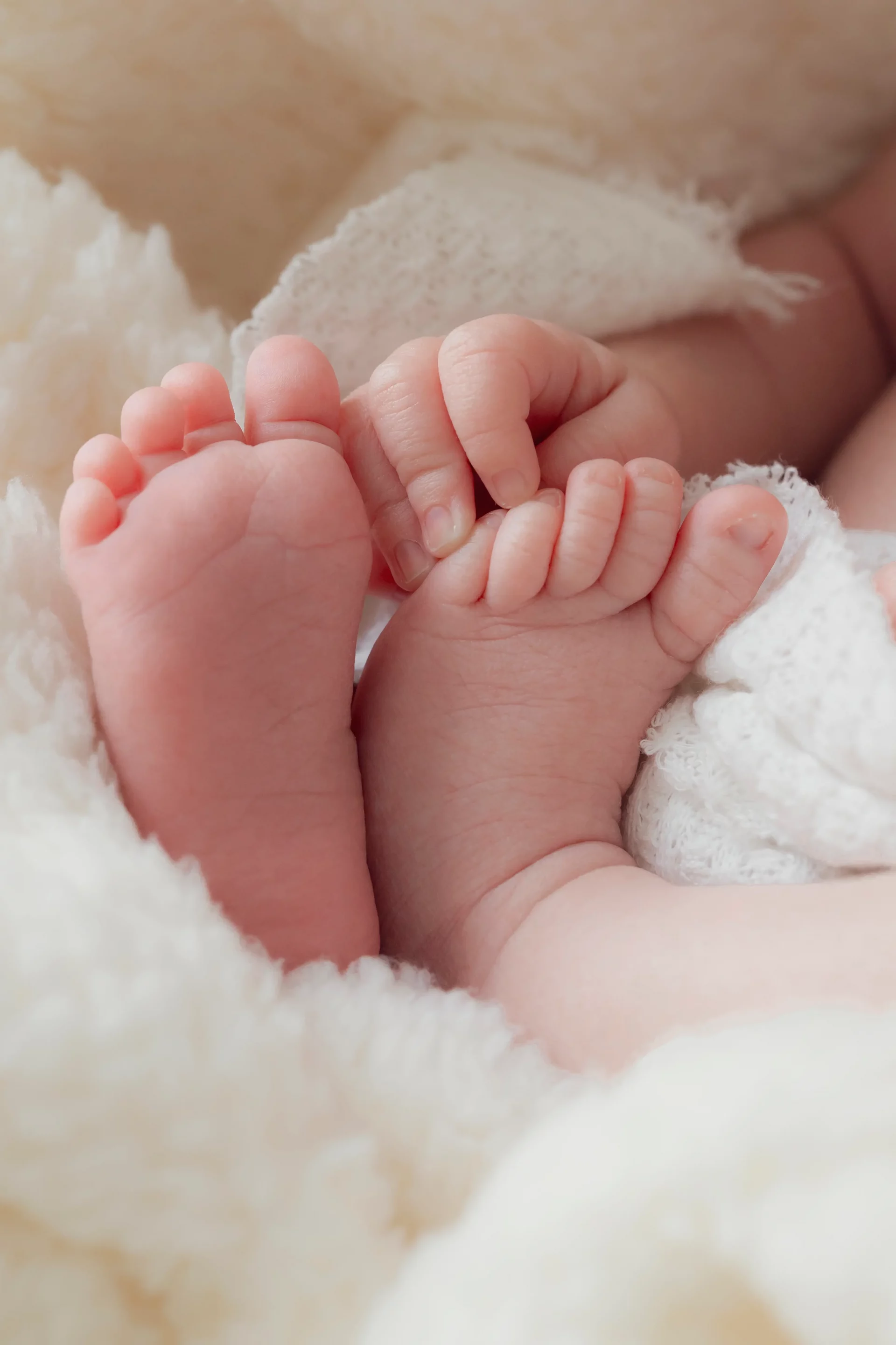 photo de naissance, gros plan sur les pieds du bébé
