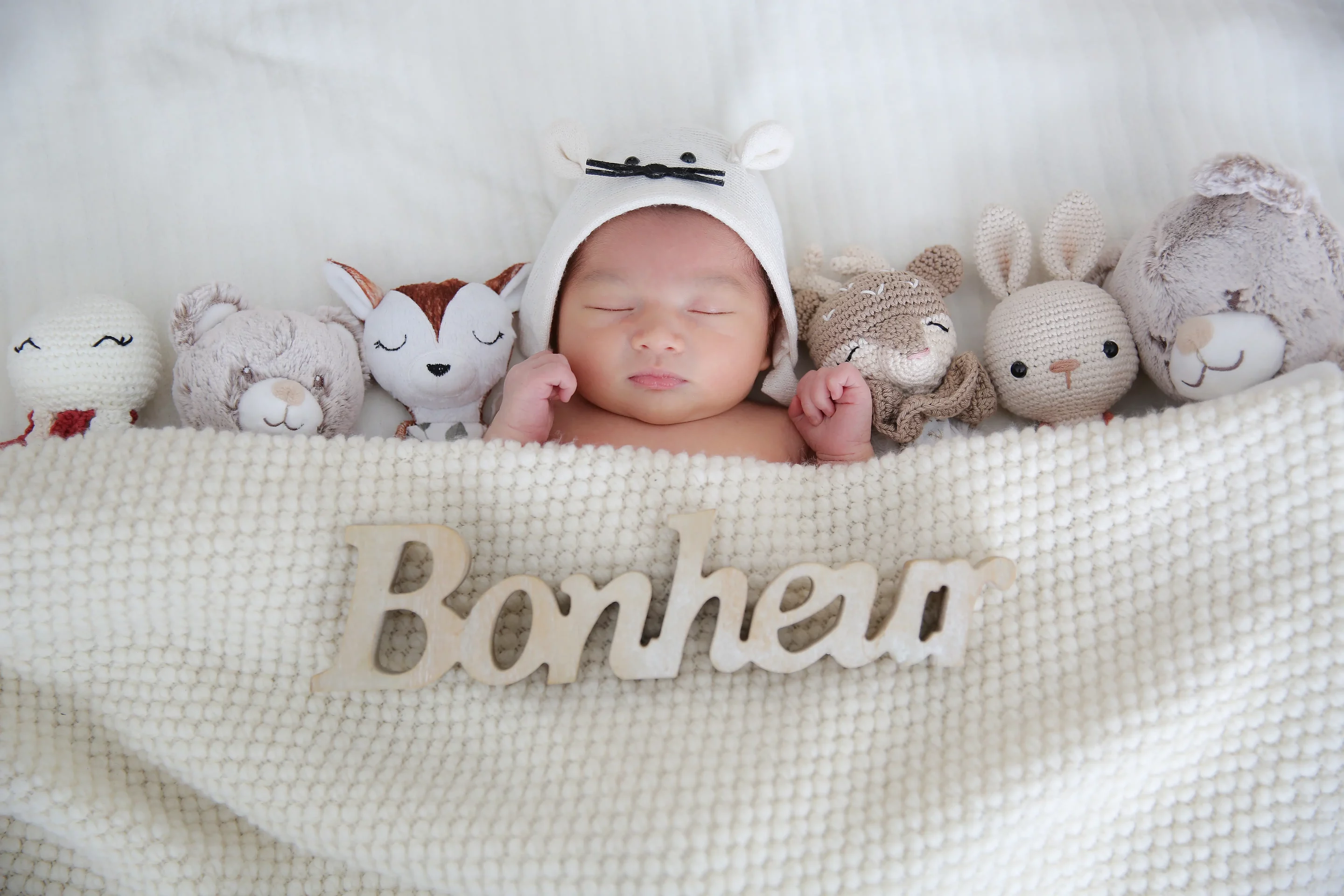 photo de naissance né endormi, entouré de 6 peluches sandra-alvoet-photographe