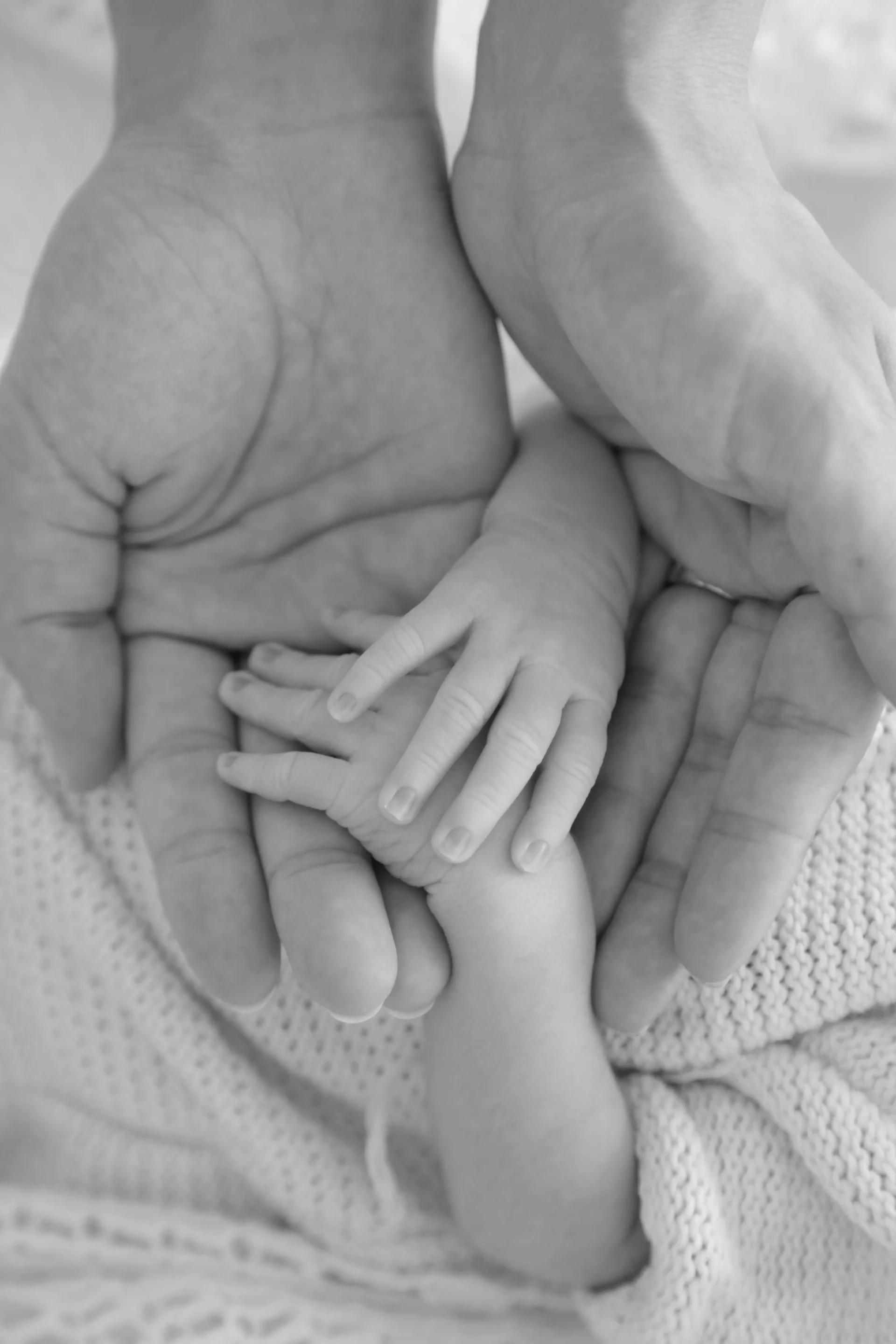 photo de naissance de mains de nouveau  né encadrées par les mains de son père