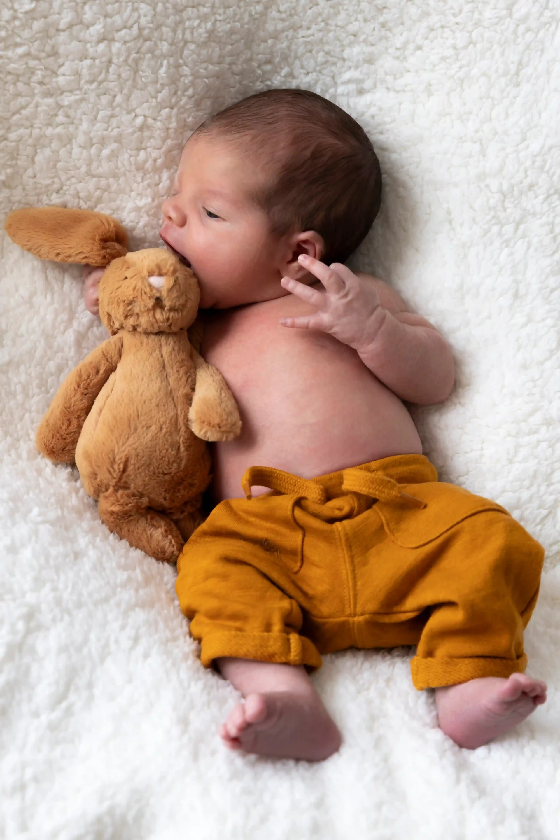 photo de naissance d'un bébé qui mange son lapin en peluche