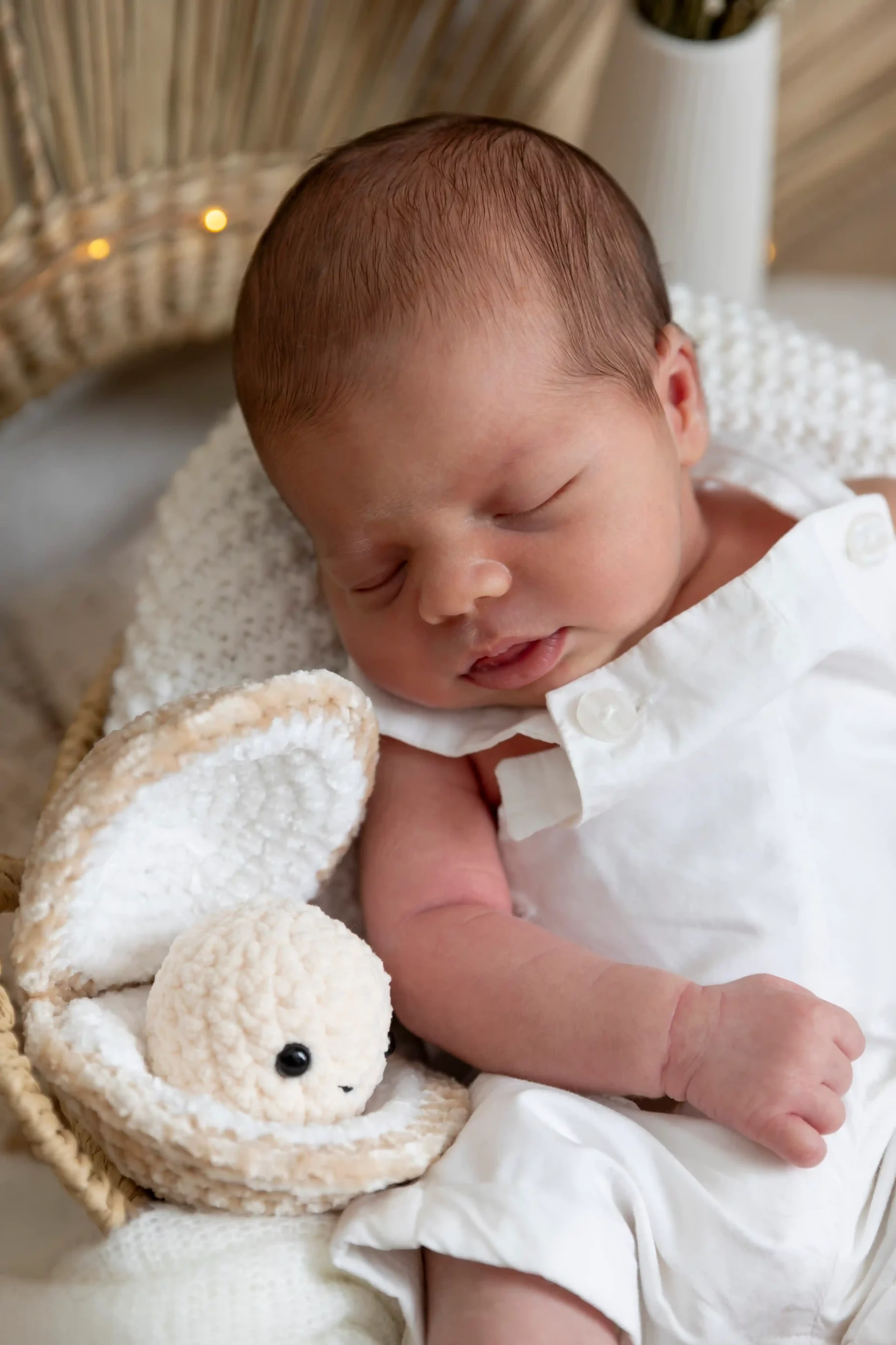 photo de naissance, bébé endormi près de son doudou
