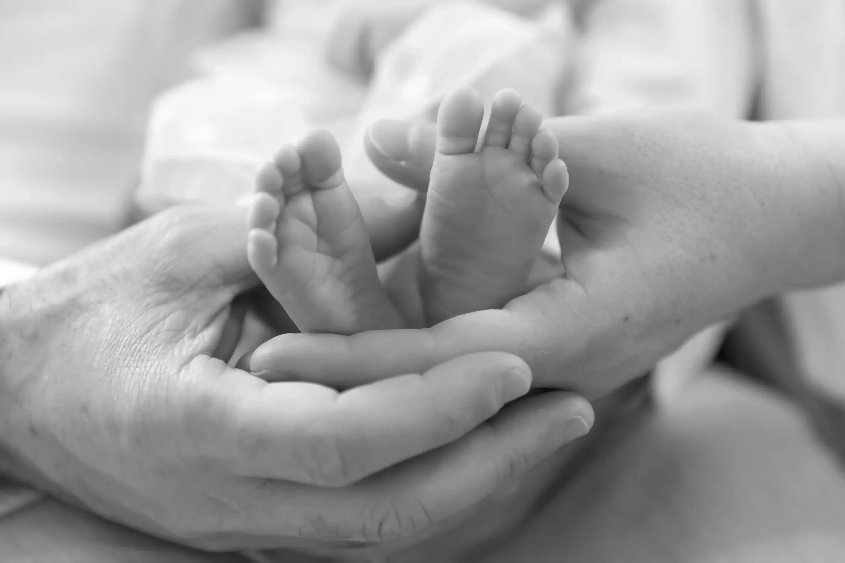 photo de naissance en noir et blanc, gros plan sur les pieds du bébé encadrés par les mains des parents