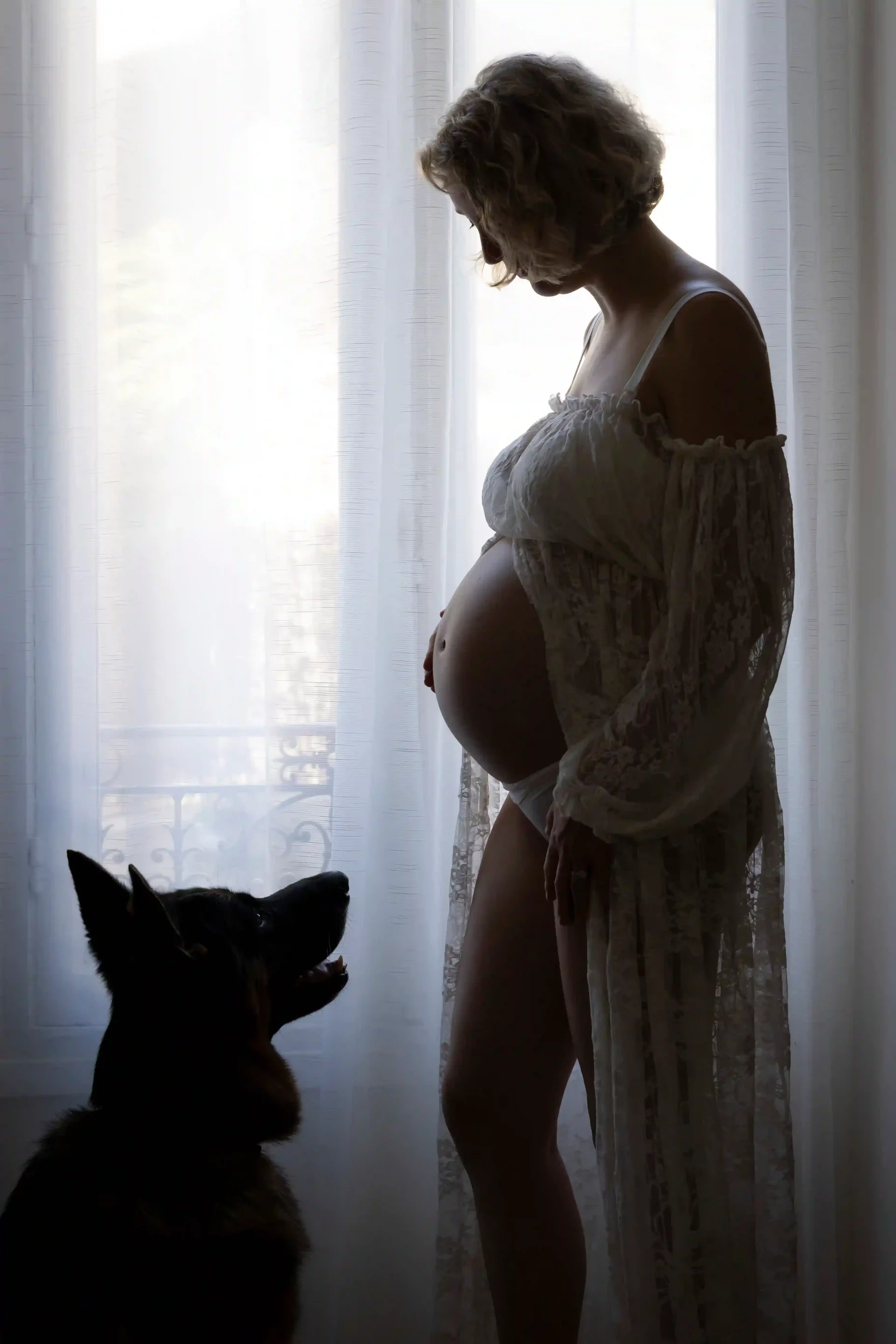 photo de grossesse, le chien regardant le ventre de sa maitresse