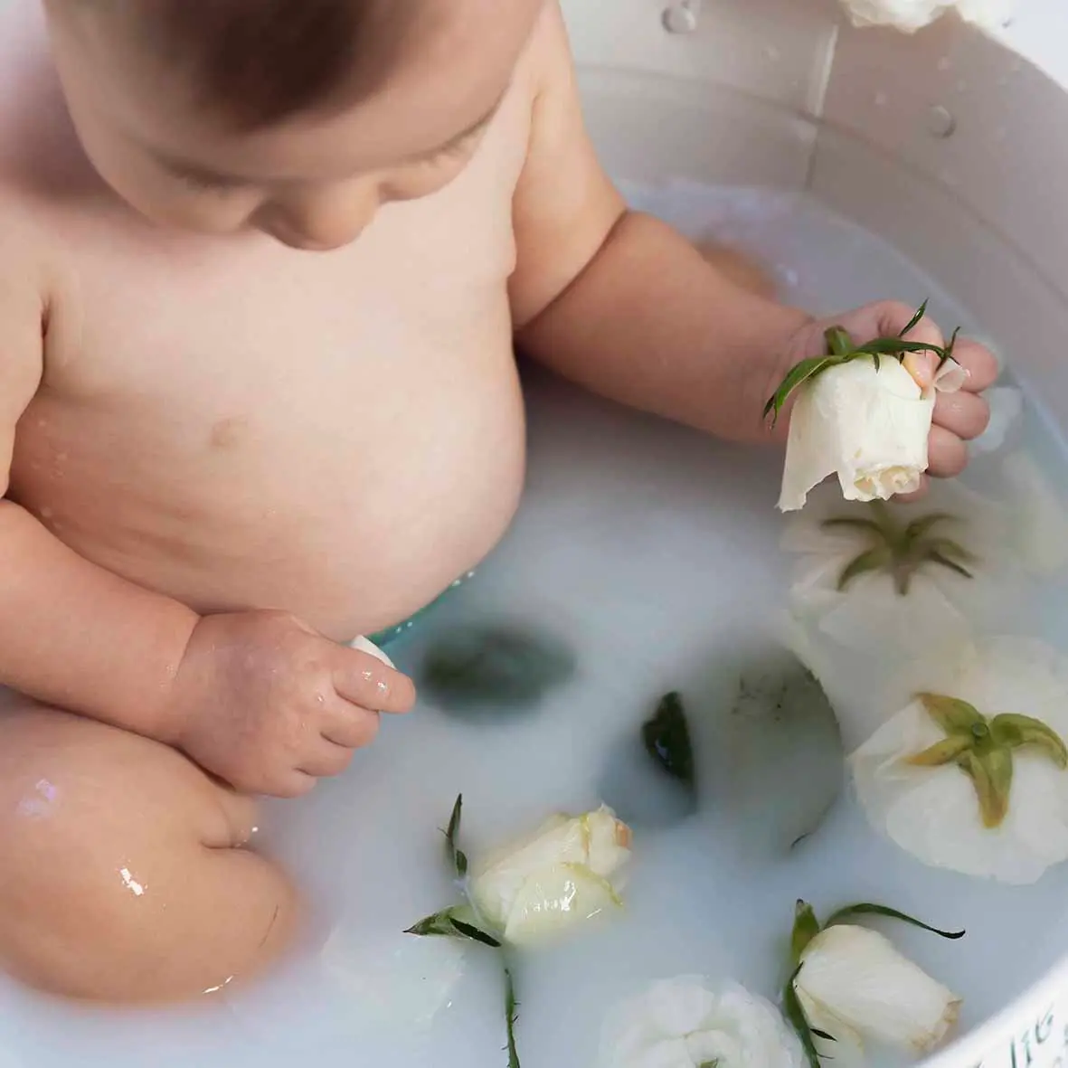 photo bain de lait, gros plan sur les fleurs blanche du lait