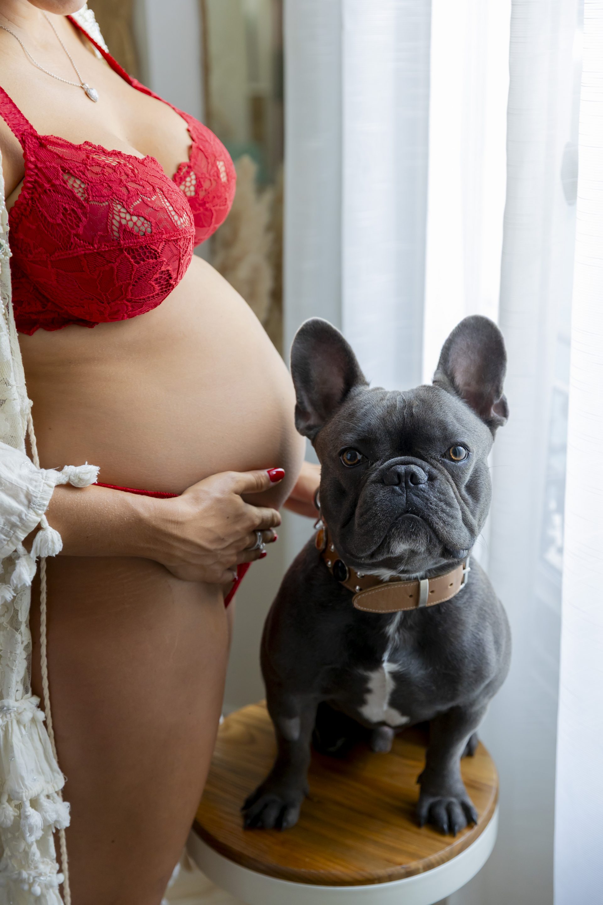 photo de grossesse, gros plan sur le ventre de la maman et de son chien